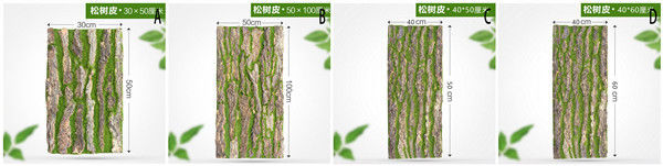 Real Touch Dired Flower Artificial Vertical Garden Tree Bark Natural Colour