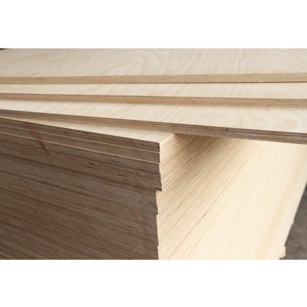 Plywood modern melamine paper interior Birch first-class E0