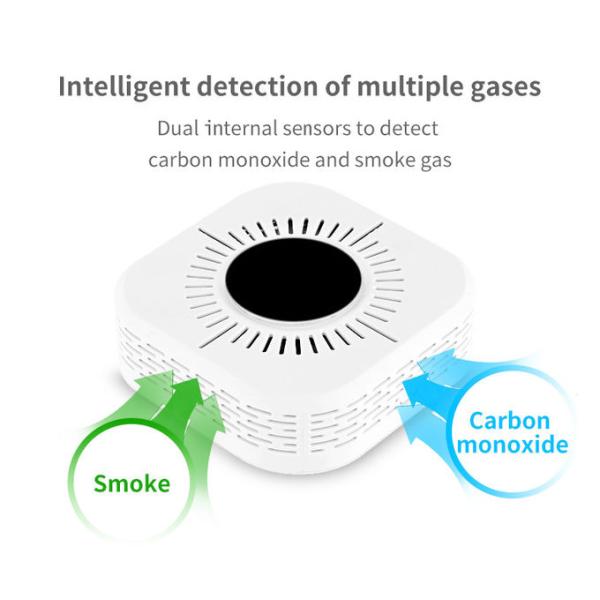 ABS Plastic Smoke Carbon Monoxide CO Detector 85dB/3m 0-999PPM