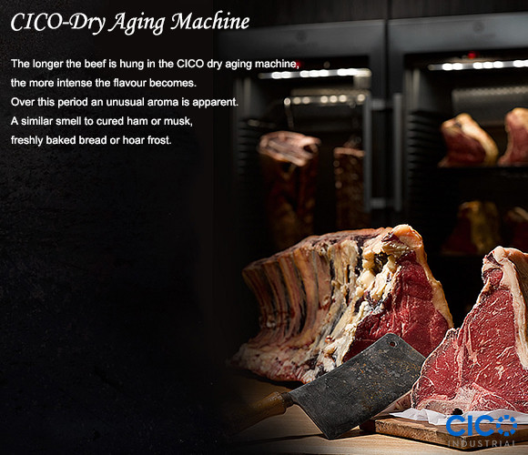 Security Lock System Meat Dry Aging Refrigerator SS Ventilation Plinth DA-460A