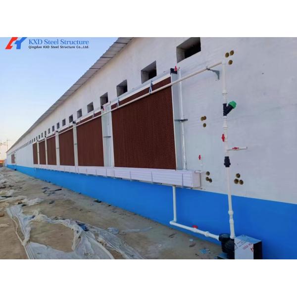 Sreel Structure Poultry Shed with Automatic Equipment for Hens