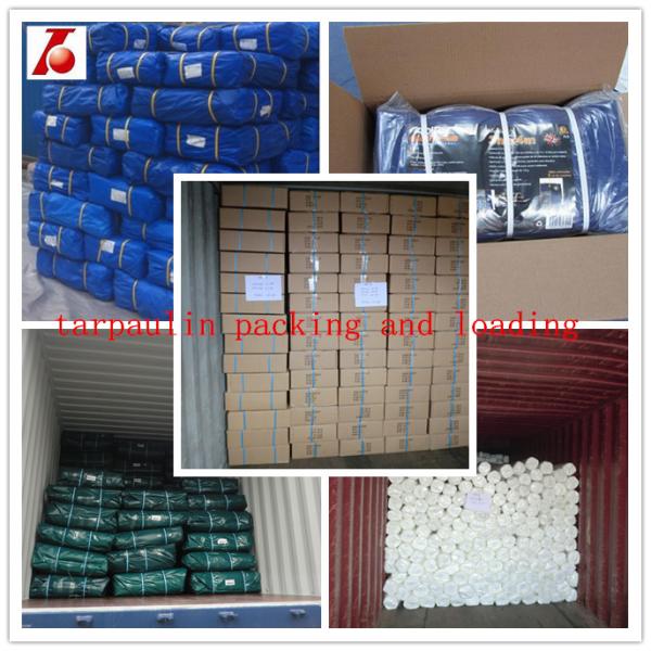 HDPE Tarpaulin poly tarp for lumber wrap