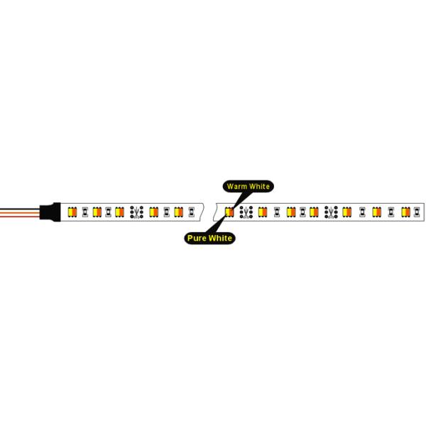 Adjustable CCT 60led/m SMD5050 LED strip light, IP65 LED digital strip DC12V