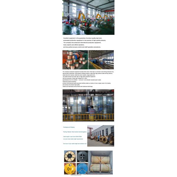 Single Core Copper Conductor PVC Insulated Electrical Wire with Customizable Options