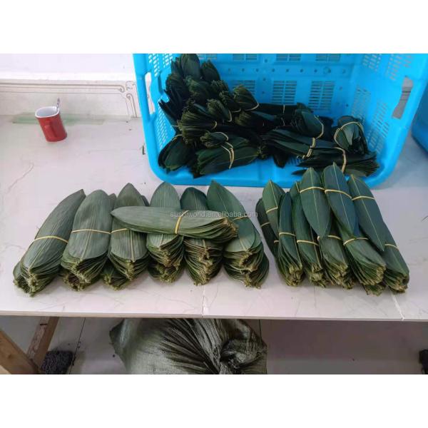 Wholesale Natural Sushi Fresh Bamboo Leaf Leaves