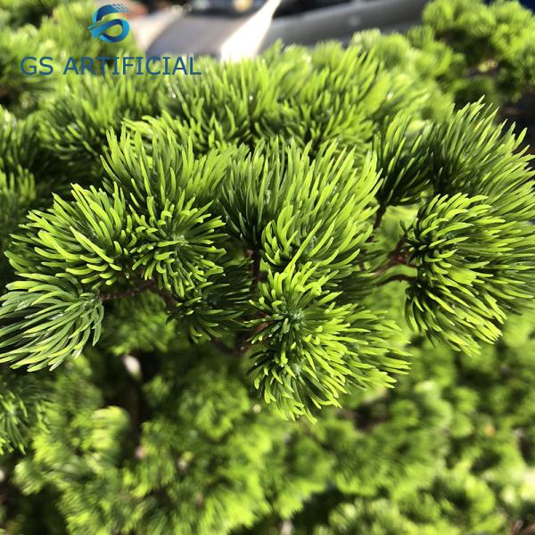 Indoor Landscape Window Artificial Decorative Trees / Japanese Bonsai Pine Tree Branch