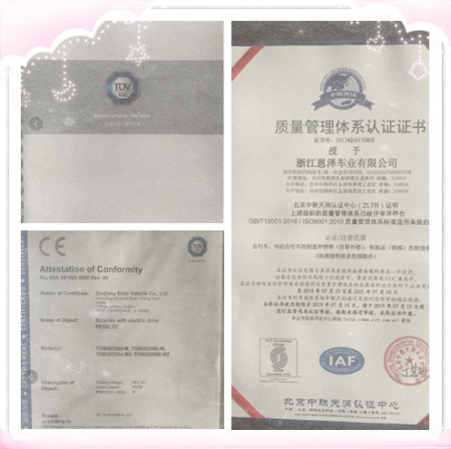 29'' High Speed Ebike , Electric Trekking Bike 48V 1000W Bafang motor