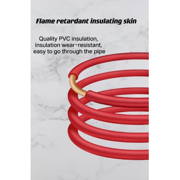 Single Core Copper Conductor PVC Insulated Electrical Wire with Customizable Options