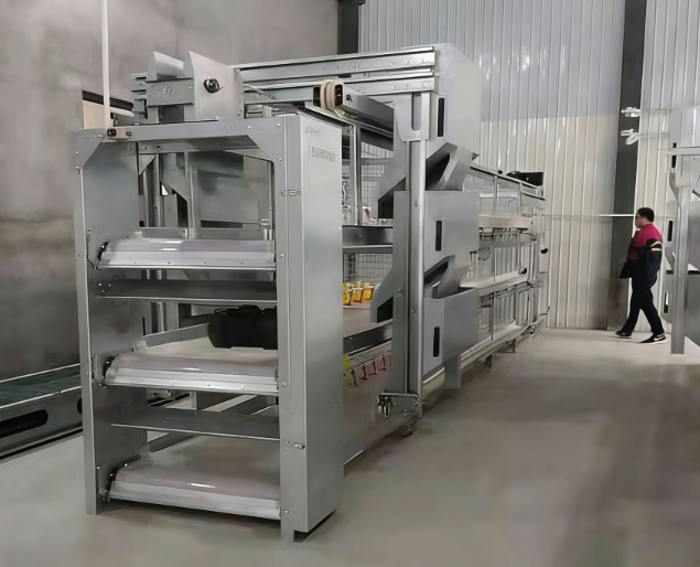 Custom Large Cascaded Layer Cage with Automatic Egg Collection and Galvanized Steel Construction in Customizable Tiers