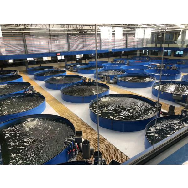 Membrane Separation Technology for Indoor Fish Farm in Recirculating Aquaculture System