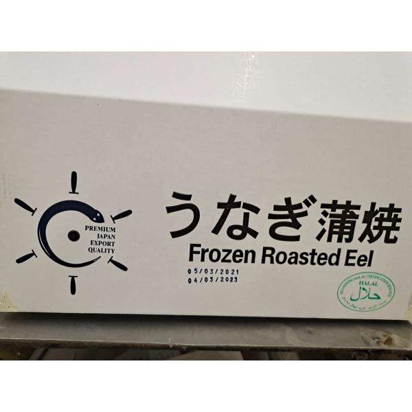 Wholesale Frozen Roasted Unagi Eel