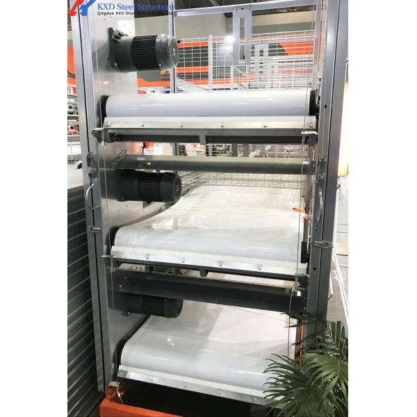Sreel Structure Poultry Shed with Automatic Equipment for Hens