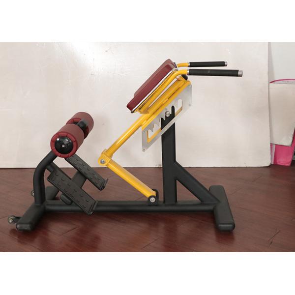 Customizable Ab Exercise Chair Plate Loaded 50kg Weight Soft Cushion