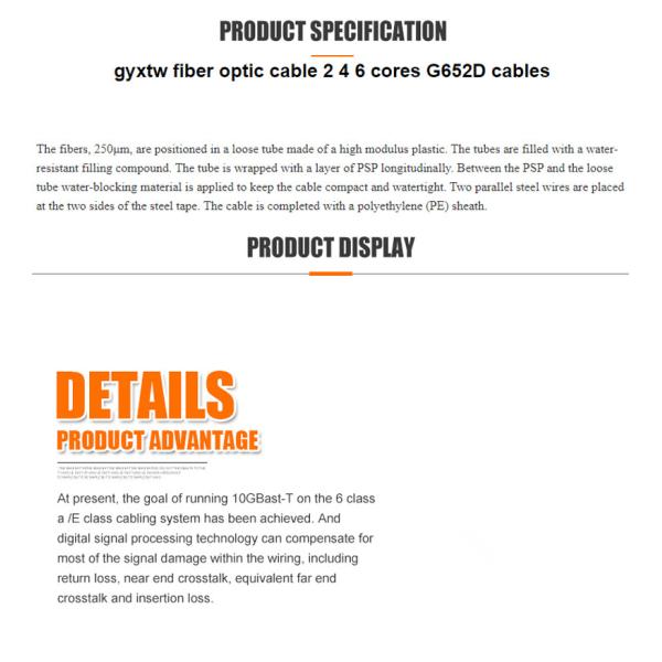 2 Core 12 Core Armored Telecommunication Cable GYXTW-4B1 Central Beam Tube Optical Cable