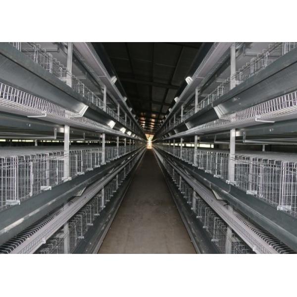 A H Type Layer Chicken Cage System High Rearing Efficiency 15-20 Years Lifespan
