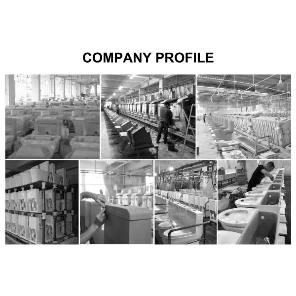 High Efficiency Dual Flush 2 Piece Toilet Tank Set Asme A112.19.2 Csa B45.1