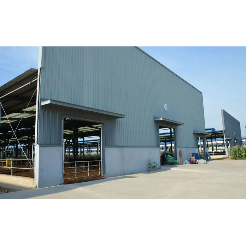 Customizable Earthquake Resistant Corrosion Resistant Quick Assembly Steel Structure Poultry House for Livestock Farming