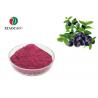 Pure Natural Freeze Dried Powder Spray Dried Blueberry Juice Powder for sale