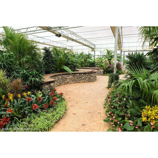 Mulit Span Commercial Glass Greenhouse Venlo Shape Span Width 9.6 / 10.8 / 12m