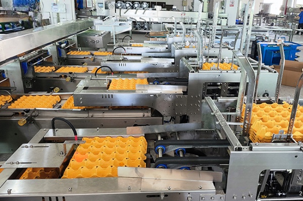 30,000 Eggs/hour LED Candling Electronic Egg Grading Sorting Machine