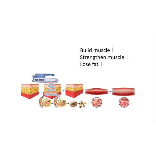 300 - 4000w Tesla EMS Machine Electromagnetic Body Sculpture Slimming Machine 150Hz