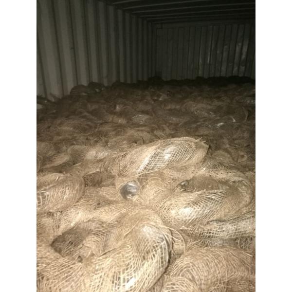QY Manufacturer Black Annealed Wire 0.7mm/1.2mm/1.4mm/1.8mm/2mm/2.7mm/3mm/4mm
