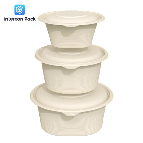 Corn Starch Degradable Lunch Box Eco Friendly Packaging Food Grade