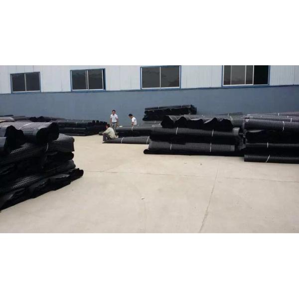 Modern Design Style Drainage HDPE Composite Drainage Board for Building and Construction