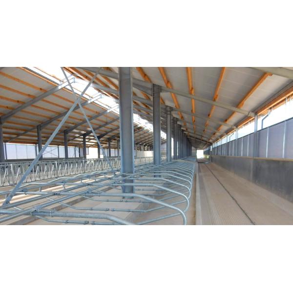 Cowshed Prefabricated with Light Steel Structure Frame and ISO9001 2008/CE/BV Certified