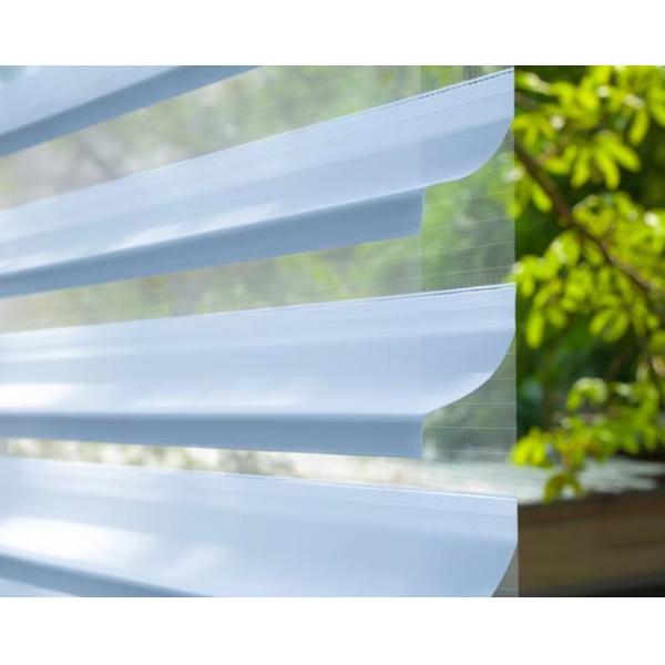 Automatic Battery Operated Motorized Blackout Zebra Roller Blinds Curtains For Windows Zigbee APP