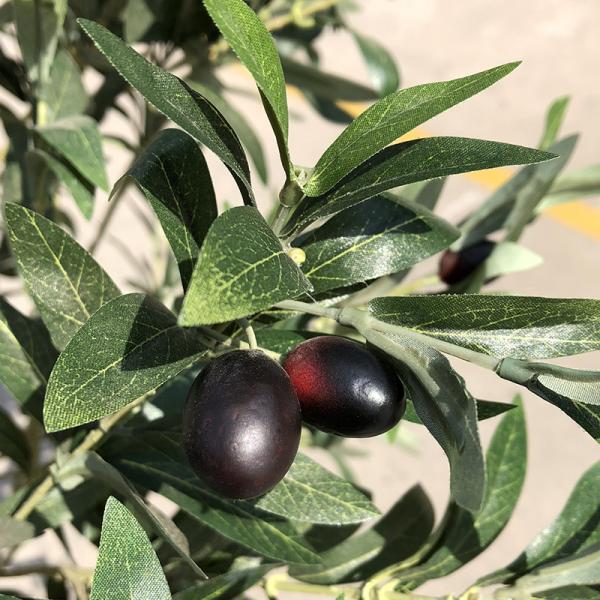Custom Fiberglass Trunk Artificial Olive Tree For Landscape Decoration