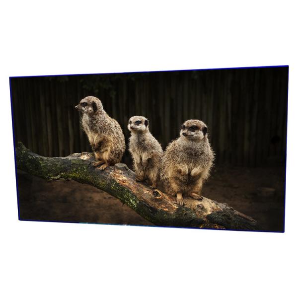 Quality LD550DUN-THB5 55 inch 1920*1080 resolution lcd led video wall Panel for sale