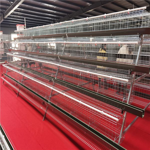 4 Tier H Type Fully Automatic Battery Layer Chicken Cage with Galvanized Steel Poultry Farming Equipment