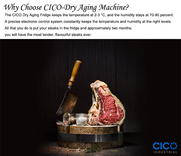 Hotel Dry Age Display Drying Equipment DA-460A Temperature Control With LED Display