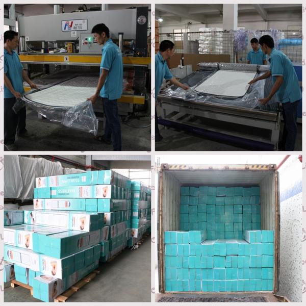 10 Inch Compressed Spring Bed Mattress In A Box Pillow Top