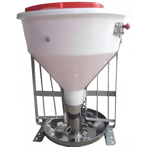 Customized Piggery Farm Equipment Fully Automatic Pig Wet Dry Feeder