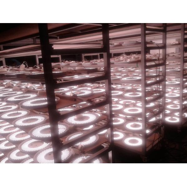 Wall pack 3000K bulkhead lights outdoor , led bulkhead lamp IK10 CE certified