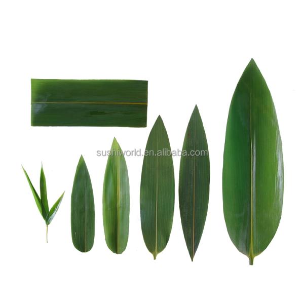 Wholesale Natural Sushi Fresh Bamboo Leaf Leaves