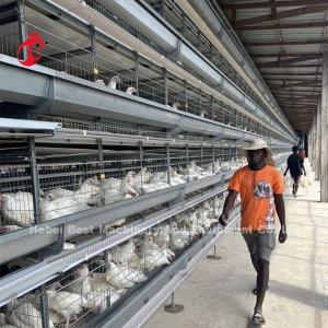 China Full Hot Dip Galvanized Automatic Chicken Cage Equipment For Chicken Farm Sandy on sale