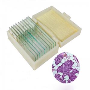 China 10pcs Mixed Glass Microscope Slides Medical Education Use For Children Study on sale