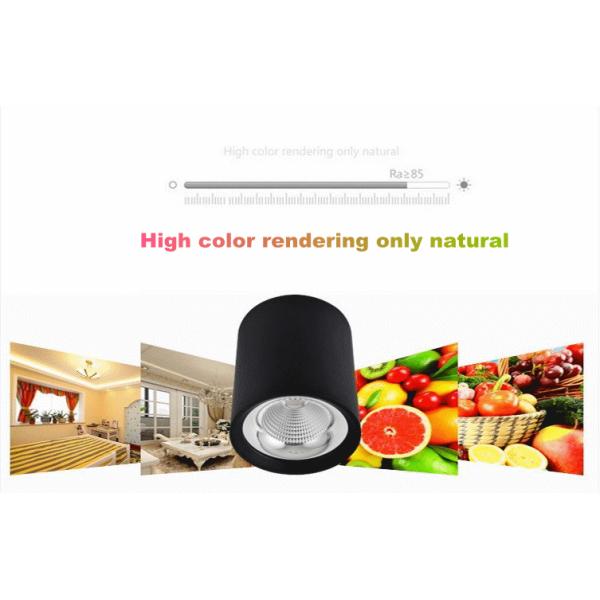4000K AC230v surface-mount lights LED downlight cree COB ceiling light with CE RoHs