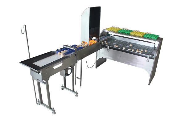Stainless Steel Material 5 Grade Egg Sorter Grading and Candling Machine