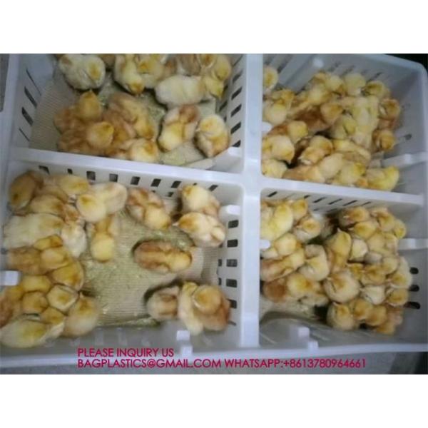 Chicken Cage Turnover Box With Partition Board Chicken Transportation Cage Egg Cage