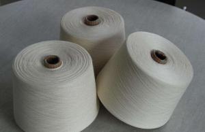 China Acrylic Knitting Yarn with Vonnel Anti-Pilling (2/30nm fixed) on sale