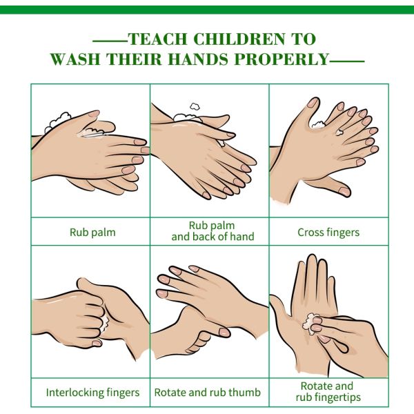 Natural Formula Norovirus Hand Sanitizer Quick And Easy Sanitizing