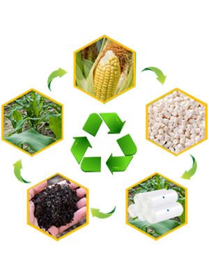 Biodegradable Trash Bags