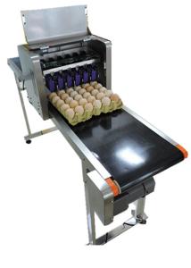 Buy cheap Eggs Continuous Inkjet Printer With Date Automatically Updated Programme product