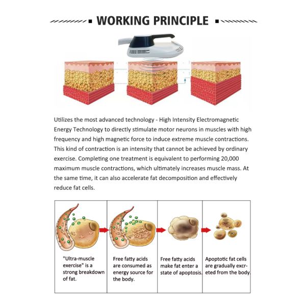 hiemtsure working principle