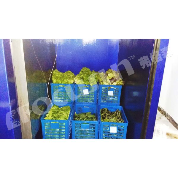 Leafy Vegetables Vacuum Cooler Bock Compressor -5C 5C Temperature Fast Cooling Machine
