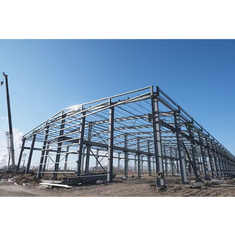 Steel Structure Buildings with a Full Life Cycle